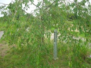 와카야나기 정 폐정 기념