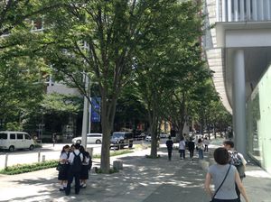 롯폰기 힐즈 케야키자카(촬영지)