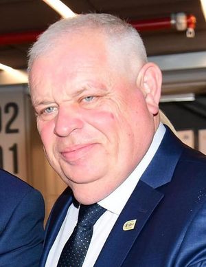 로나 플롯 시장