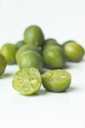 오스트레일리아 아웃백 라임, 선별된 재배 품종