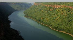 코타 근처 참발강(Chambal River), 라자스탄