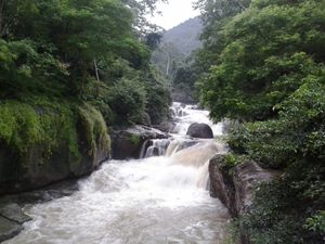 낭 롱 폭포는 나콘나욕의 자연 명소이다.