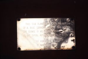 1965년 11월 15일 대한민국 춘천 인근 캠프 페이지에서 사망한 로버트 E. 퀘시 상사의 기념 명판. 그를 기리기 위해 나무가 심어졌다.