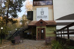 러시아 노보시비르스크의 고양이 카페.