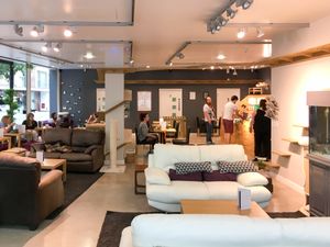 맨체스터 고양이 카페