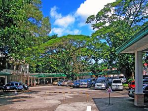 세인트 라 살 대학교 주차장