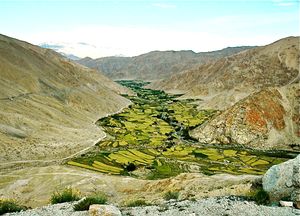 레 주변의 농업 모습