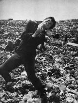 『재와 다이아몬드』(1958년)