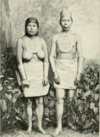 무이스카족 (1882년)