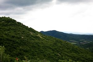 로조베츠 근처의 사르네나 스레드나 고라