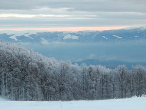 보그단 보호구역 근처의 겨울 풍경