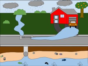 강물을 오염시키는 강수량