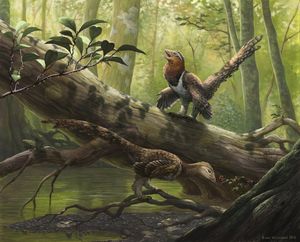 현재 루마니아 지역인 하체그 섬의 환경에서 서식하는 두 마리의 발라우르 본도크