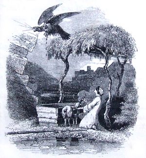 독수리 모습으로 변하는 르우. 1877년 샬롯 게스트 부인이 번역한 마비노기온 삽화