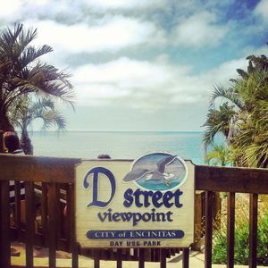 D 스트리트 전망