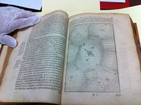 르네 데카르트의 철학 원리. 이 책의 복사본은 1656년에 인쇄되었으며, 텍사스주 샌안토니오에 있는 톰 슬릭 기념 도서관의 사우스웨스트 연구소 희귀 도서 컬렉션에 소장되어 있다.