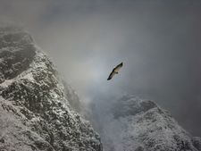 겨울철 고지대는 추운 날씨와 함께 눈이 내린다.