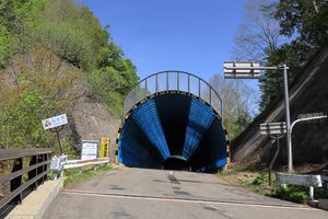 다이가쿠노 고개