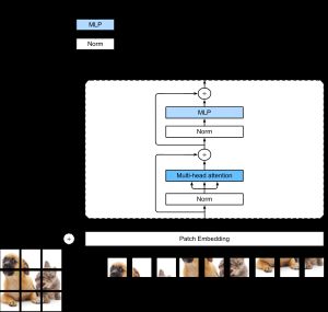 인코더 전용 트랜스포머 블록을 보여주는 비전 트랜스포머 아키텍처