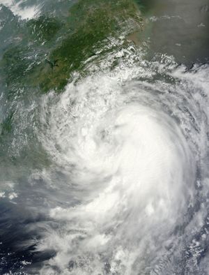 2014년 7월 23일 태풍 마트모