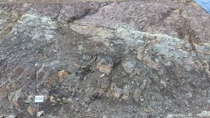 의성군 의성읍 오로리 국도 제28호선 도로변의 사곡층으로 남남동쪽으로 경사한다.