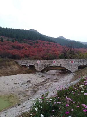 홍치취(红旗渠)