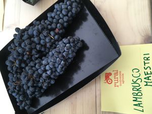 람브루스코 마에스트리 (Lambrusco Maestri)