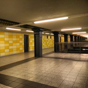 m}}로 낮게 지어졌다.