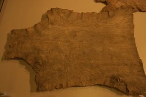 북아메리카 버크스킨 지도