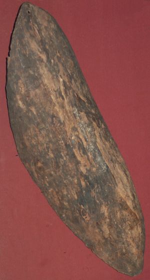 호주의 나무껍질 방패