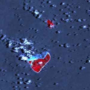 쓰나미 이후 니우아토푸타푸.