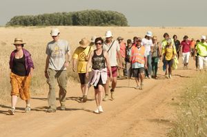 분노한 시민 행진 북동부 열, 7월 11일