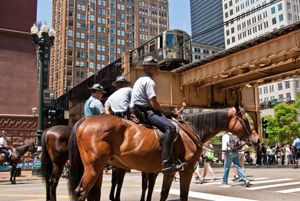 2010년 시카고 기마 경찰