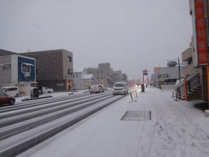 1월 22일 도치기현 우쓰노미야에 폭설이 내리다