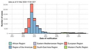 2024년 3월 31일까지 WHO에 보고된 엠폭스 사례의 월별 유행 곡선