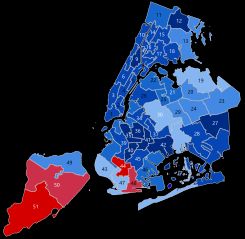 2020년 미국 대통령 선거 뉴욕시 의회 지도