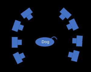 고정된 카메라 배열과 같이 여러 관점에서 촬영된 이미지는 사진 측량 재구성 파이프라인을 통해 3D 메쉬 또는 포인트 클라우드를 생성하는 데 사용할 수 있다.