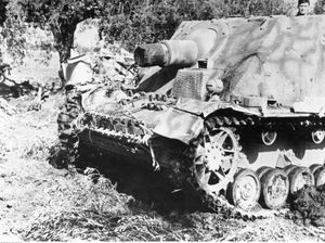 1944년 3월 안치오 상륙 작전 이후 연합군 교두보를 억제하기 위해 배치된 브룸베어