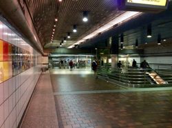 지하 1층의 모습.