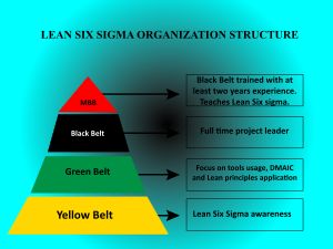 린 6 시그마 조직 구조