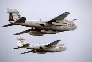 EA-6B 프라울러 항공기에 장착된 AN/ALQ-99 시스템. 앞쪽의 EA-6B는 송신용 날개 아래 재밍 포드 3개와 수신용 꼬리에 고정된 포드 1개를 장착하고 있다.