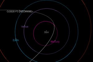 니오와이즈 혜성은 유사 포물선 궤도를 가지고 있다. 혜성의 태양계 내 궤도 그림