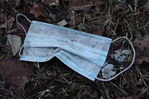 2020년 12월 퐁텐블로 숲(보호 구역) 가장자리에 버려진 수술용 마스크