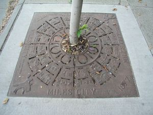 몬태나주 마일스 시티의 가로수 화분