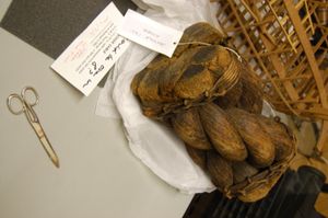 침몰선에서 인양되어 Blythe House의 과학 박물관 창고에 보관되어 있는 24인치 닻 밧줄 단면.