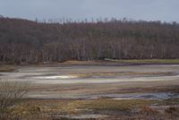 칼다라 디 만치아나