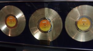 RIANZ의 Stardust 트리플 플래티넘 인증