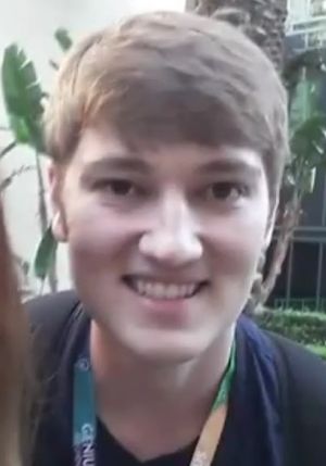 2017년 Vidcon에서 랠리슨
