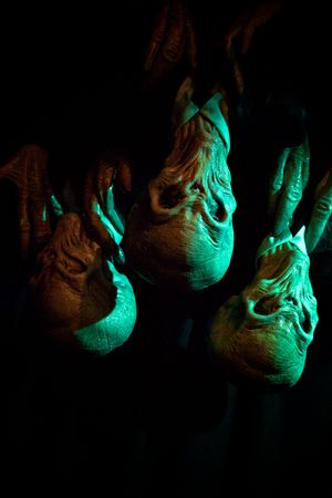 매달린 사일런스