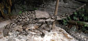 고대 생명 박물관(en)의 골격 캐스트